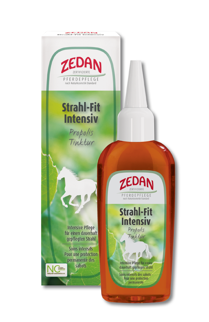ZEDAN Strahl-Fit Intensiv 100 ml